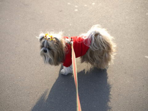 c0090198_3445657.jpg