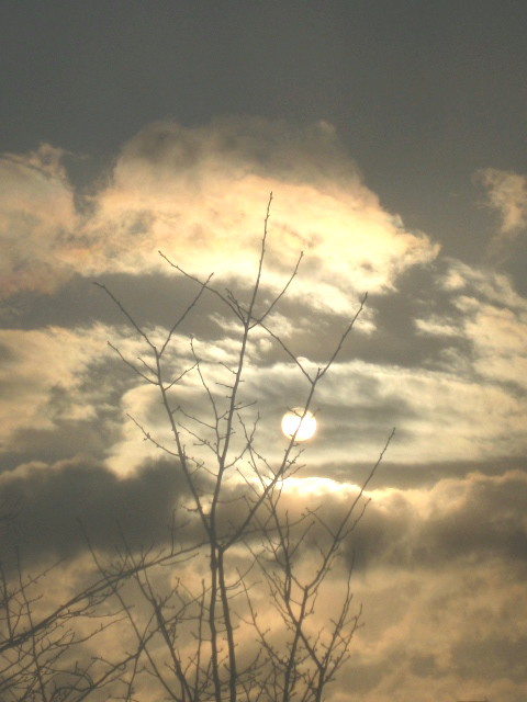 f0236201_8113656.jpg