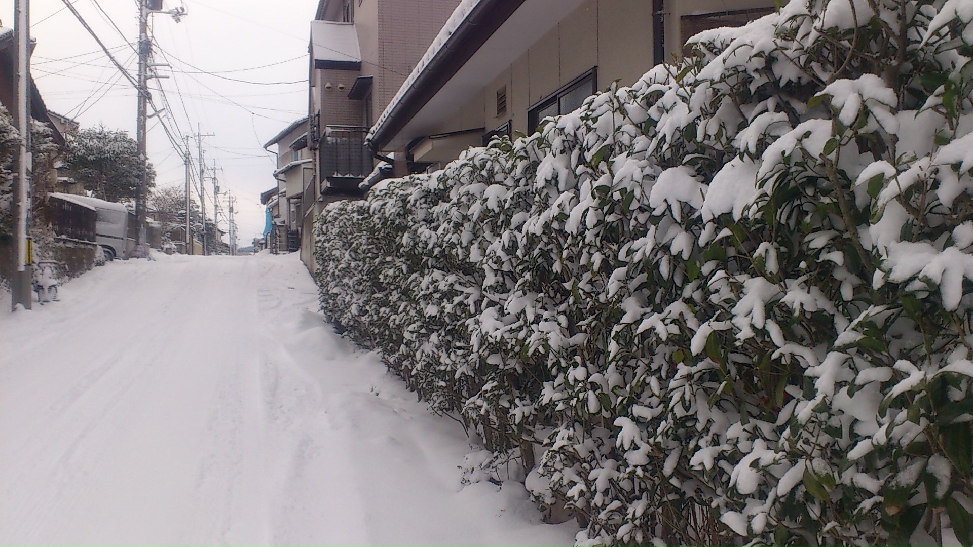 a0003202_8571161.jpg