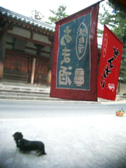 d0077603_1629725.jpg