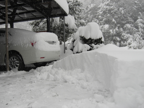 降りしきる雪、また、雪。　～パート２～_e0252905_14443746.jpg