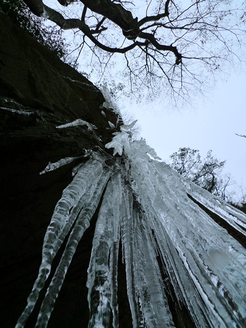 a0097006_1235019.jpg