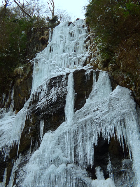 a0097006_1244694.jpg