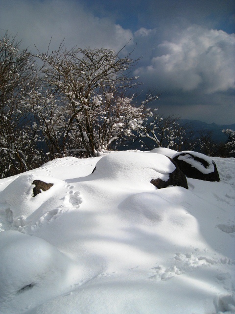 a0097006_134466.jpg