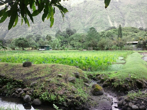 d0051707_15514339.jpg