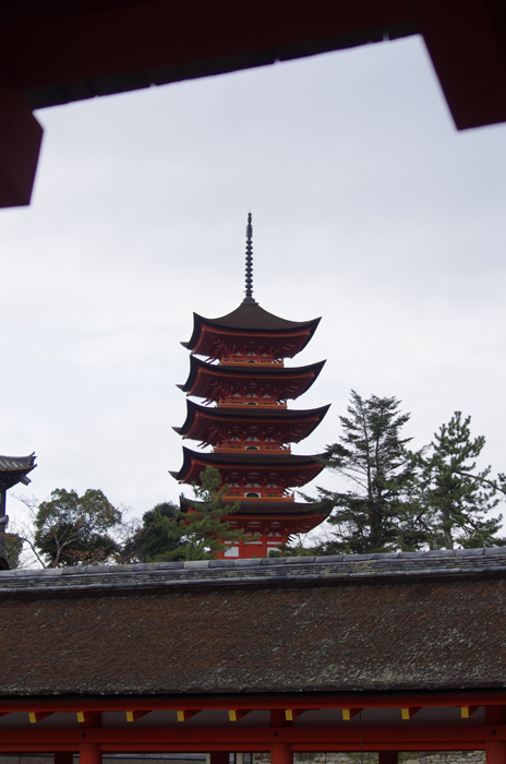 厳島神社　３_b0151409_21324629.jpg