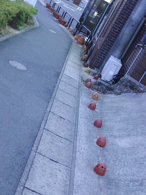 f0141310_742624.jpg