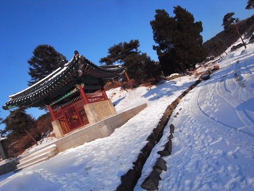 c0116714_155677.jpg