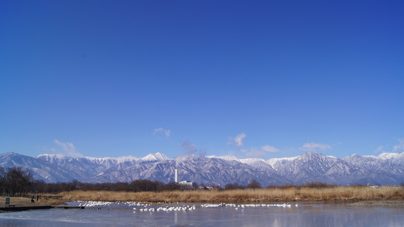 f0233414_2181130.jpg