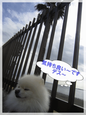 b0167519_9344288.gif