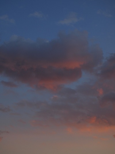 c0172620_1171612.jpg