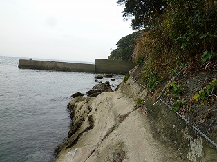 磯イノベーションin城ヶ島_d0182026_2239134.jpg