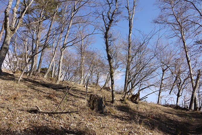 寄バス停から鍋割山を目指す　その３_c0196928_20522757.jpg