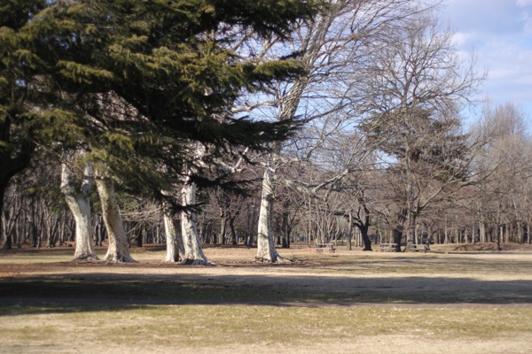 野川公園。_d0195731_214898.jpg