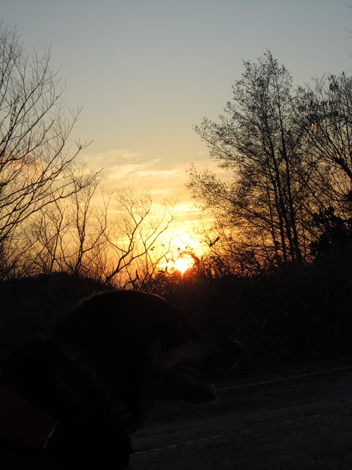 a0240233_2251632.jpg