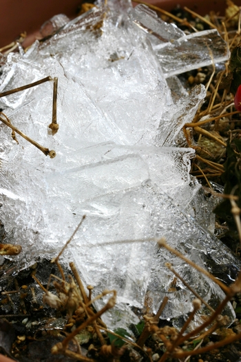 c0134734_1323337.jpg