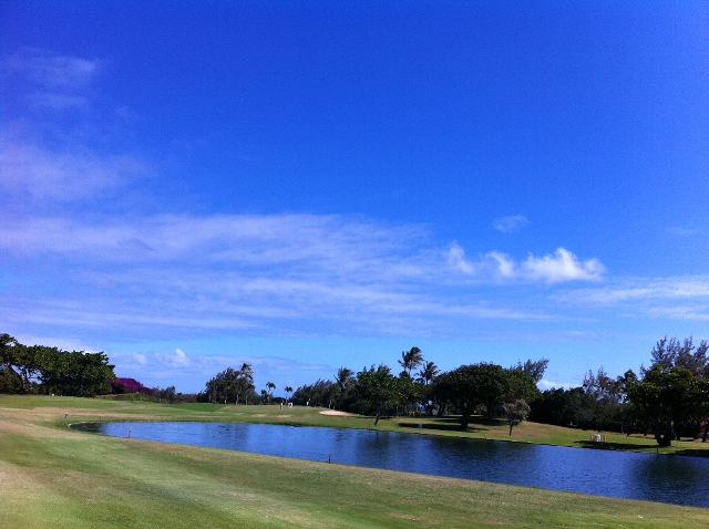e0022439_1792567.jpg