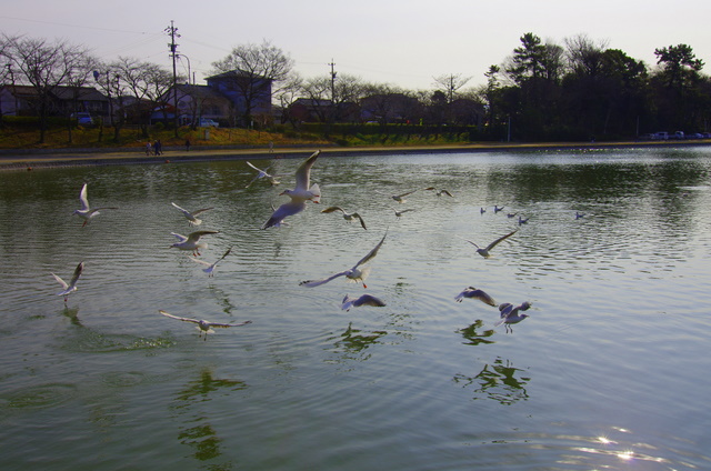 d0186245_1921362.jpg