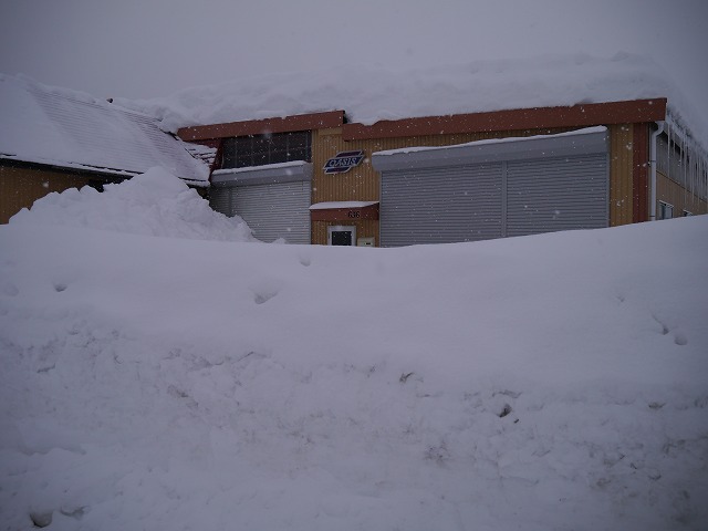 連日連夜の大雪_d0141049_17433367.jpg