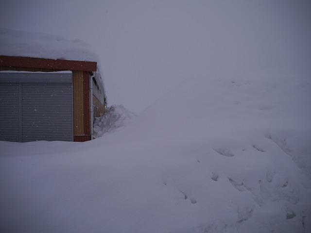 連日連夜の大雪_d0141049_17442636.jpg