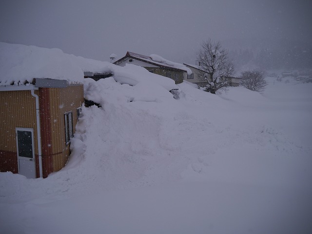 連日連夜の大雪_d0141049_17445849.jpg