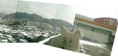 e0033751_17233546.jpg