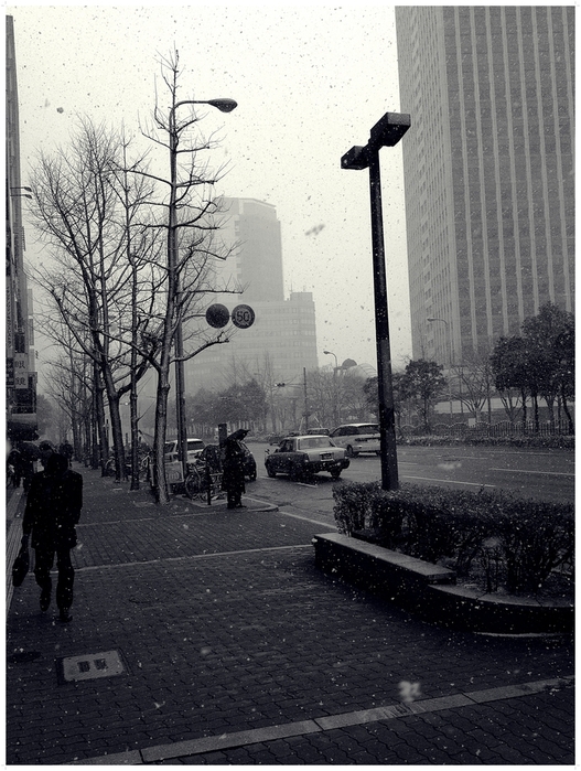 降雪_e0123351_22423911.jpg