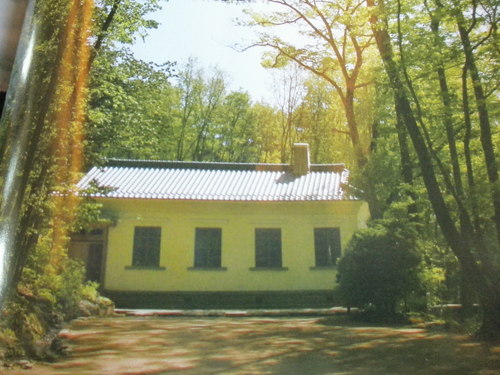 b0216960_1955521.jpg