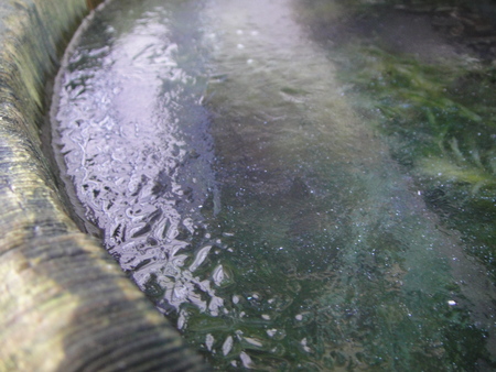 c0108460_17103253.jpg