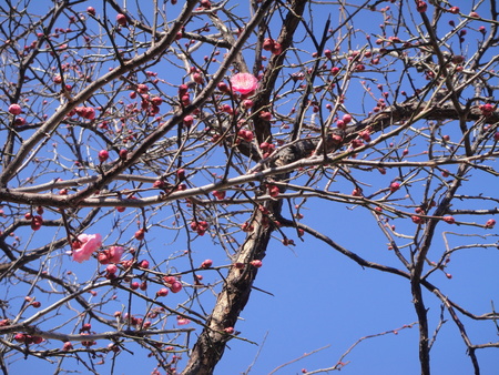 c0108460_17111148.jpg