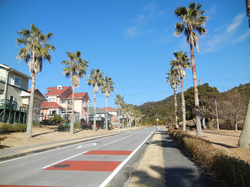 2012年2月3日(金)今日は海まで行ったよ~!_f0060461_12574084.jpg