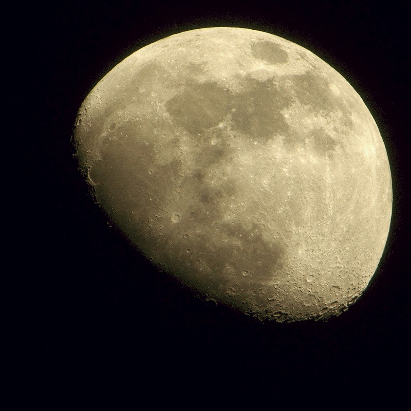b0198768_22232464.jpg