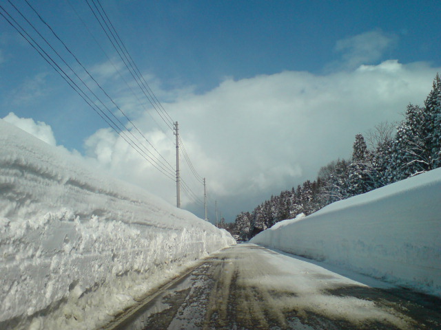 青空の下、本日は除雪デー。_d0182179_15492130.jpg