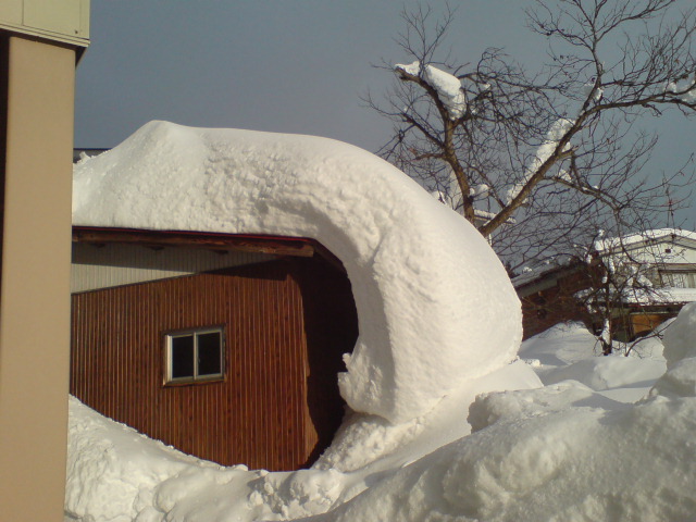 青空の下、本日は除雪デー。_d0182179_16161986.jpg