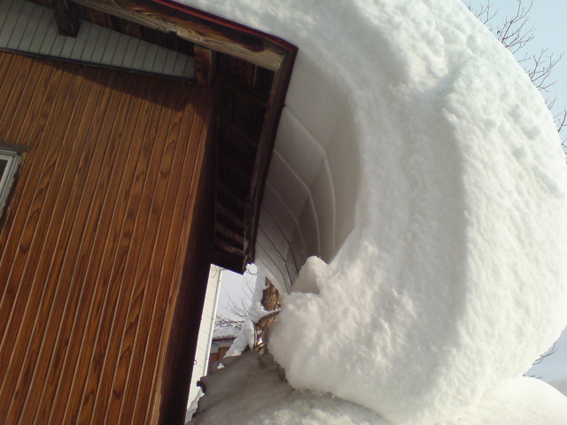 青空の下、本日は除雪デー。_d0182179_16172144.jpg