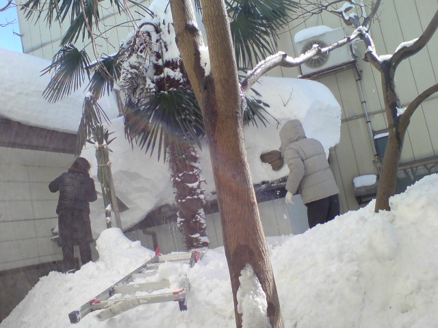 青空の下、本日は除雪デー。_d0182179_16221222.jpg