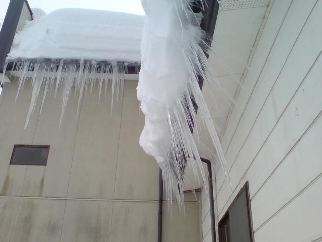 青空の下、本日は除雪デー。_d0182179_16242559.jpg
