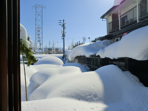 f0117892_15362924.jpg