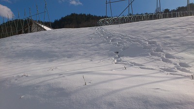 結構な距離?_b0219993_151575.jpg