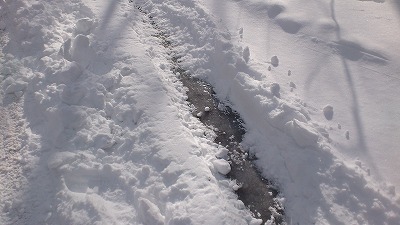 雪の中の危険!!_b0219993_1639925.jpg