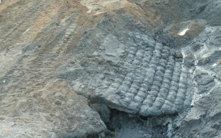 f0166694_18115939.jpg