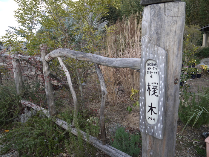 「となりに緑展」へ_a0233896_23161046.jpg