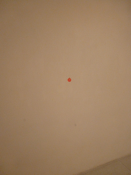 f0191500_9253240.jpg