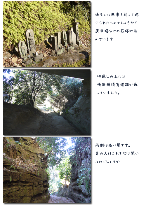 鎌倉 朝夷奈切通をウォーキング(1)_c0051105_1534863.png
