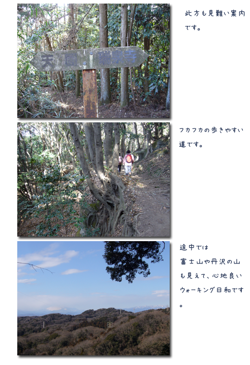 鎌倉 天園ウォーキング (2)_c0051105_21261712.png