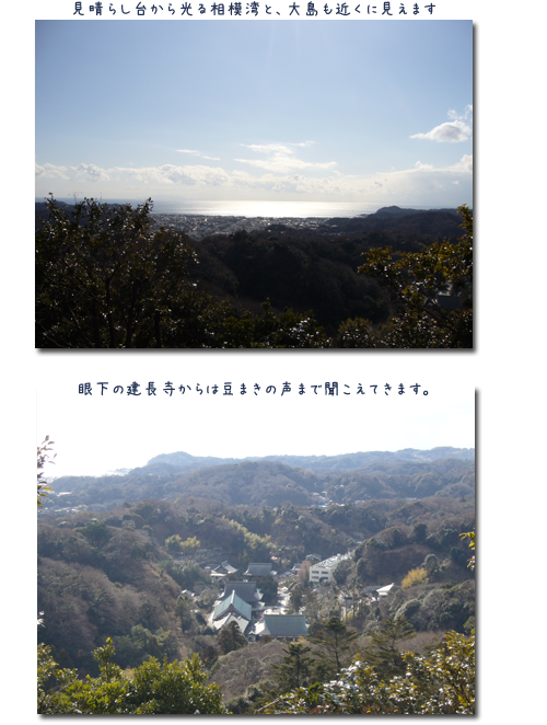 鎌倉 天園ウォーキング (2)_c0051105_2223253.png