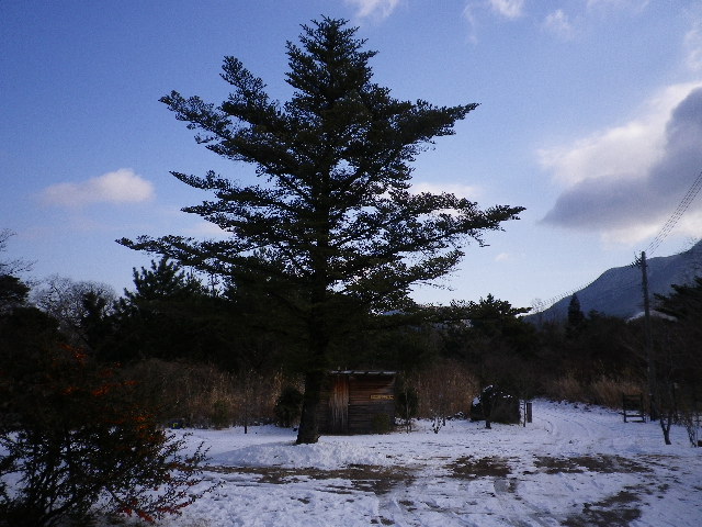 観測史上最低_e0179508_9475240.jpg