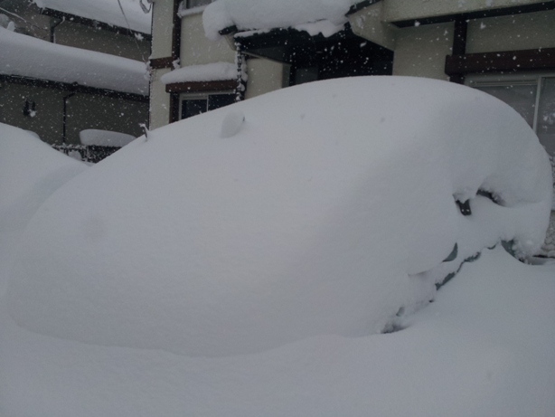 雪がやんだら・・_e0033713_1724610.jpg