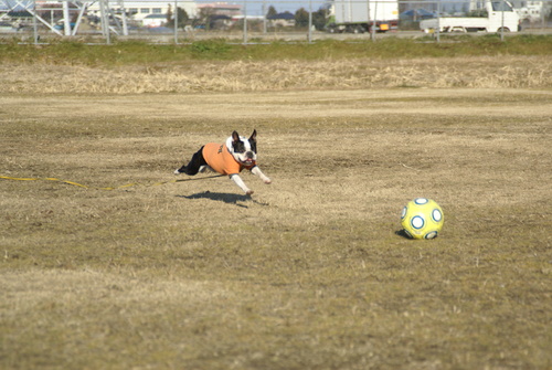 c0220715_1036080.jpg