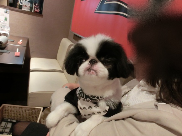 c0200916_15224310.jpg